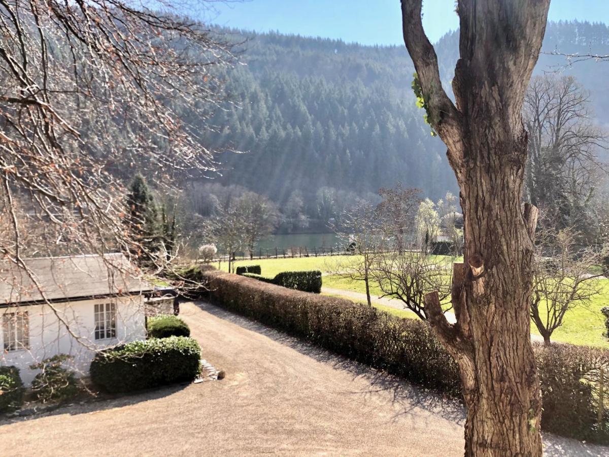 Ferienwohnung Weingut Villa Huesgen Am Moenchhof Traben-Trarbach Dış mekan fotoğraf
